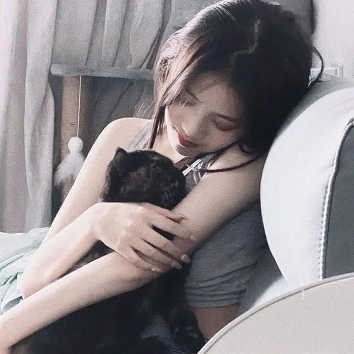 赖布衣妙算玄机粤语海报